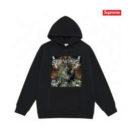 Picture of Supreme Hoodies _SKUSupremeS-2XLthtxS20225970